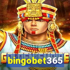 bingobet365