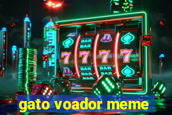 gato voador meme