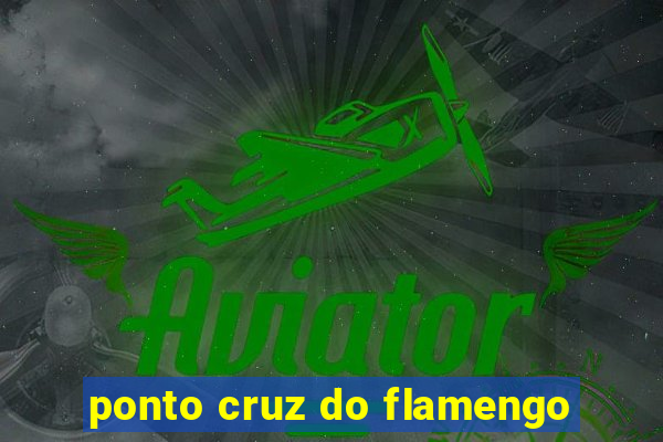 ponto cruz do flamengo