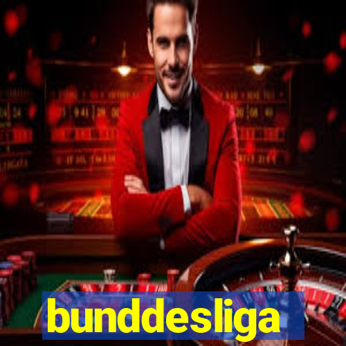 bunddesliga