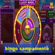 bingo campamento