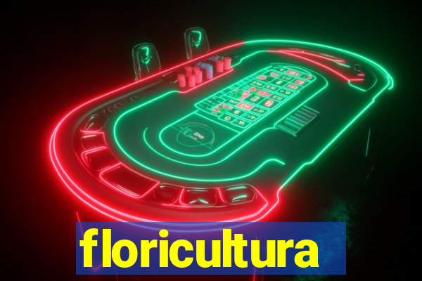 floricultura cruzeiro novo