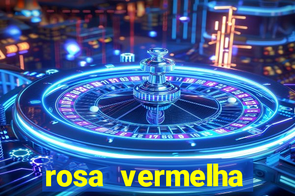 rosa vermelha (letra e cifra)