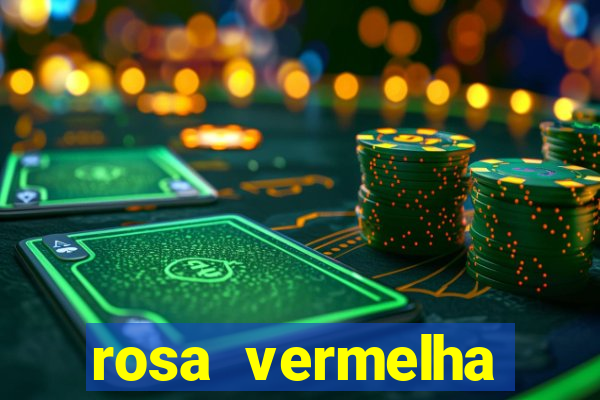 rosa vermelha (letra e cifra)