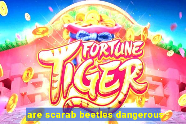 are scarab beetles dangerous