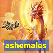 ashemales