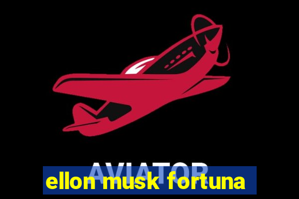 ellon musk fortuna