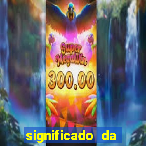 significado da palavra bingo