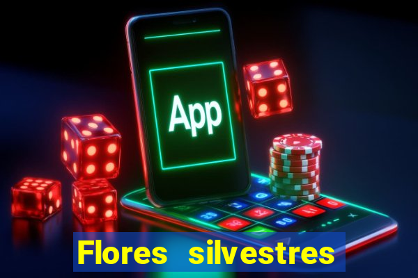 Flores silvestres brasileiras 25