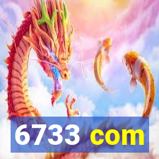 6733 com