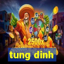 tung dinh