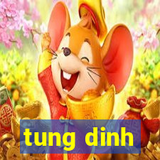 tung dinh