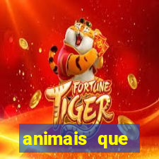 animais que produzem l茫