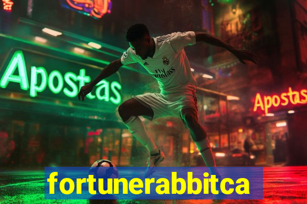 fortunerabbitcasino.online