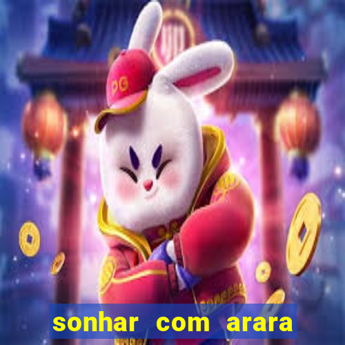 sonhar com arara jogo do bicho