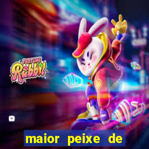 maior peixe de couro do brasil