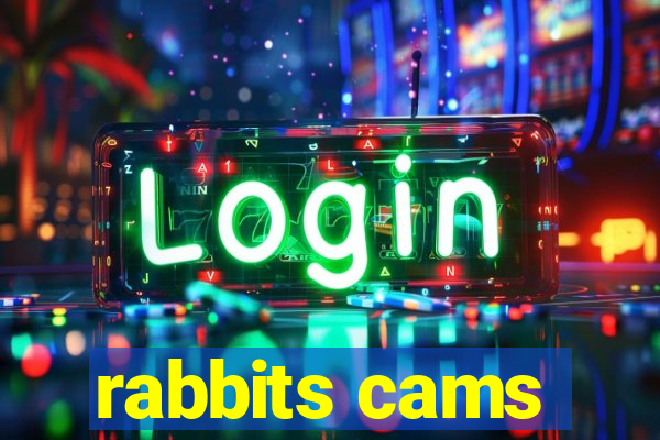 rabbits cams