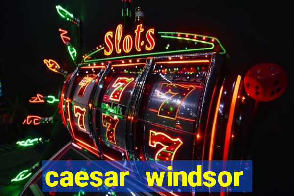 caesar windsor casino hotel