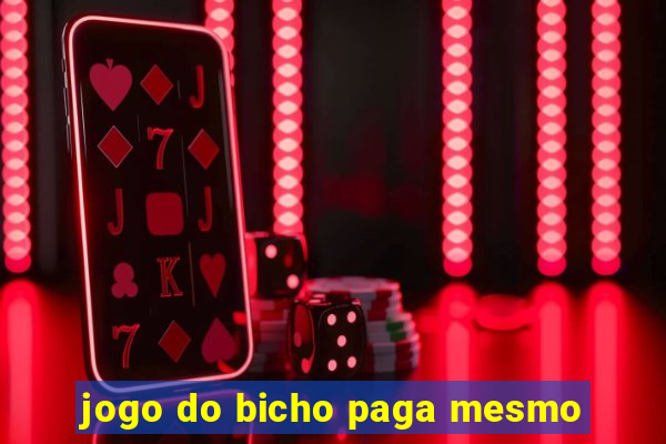 jogo do bicho paga mesmo