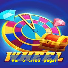 ver o circo pegar fogo significado