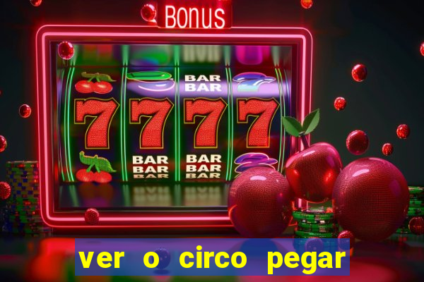 ver o circo pegar fogo significado