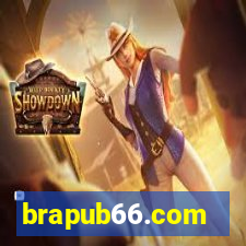 brapub66.com