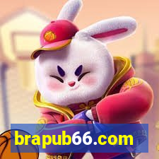 brapub66.com