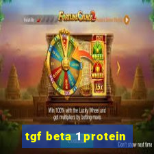 tgf beta 1 protein