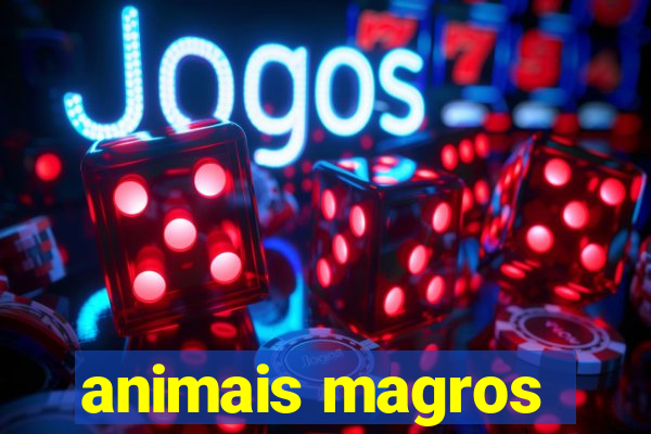 animais magros