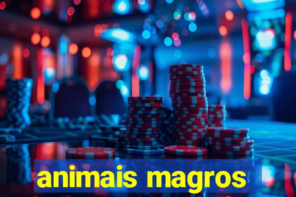 animais magros