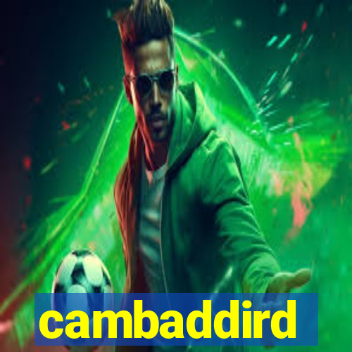 cambaddird