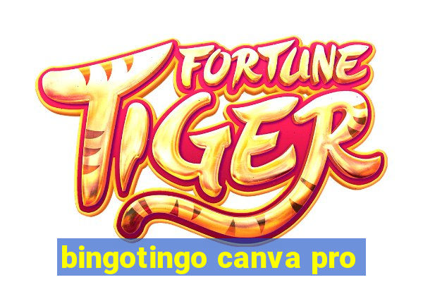 bingotingo canva pro