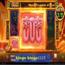 bingo bingo線上投注