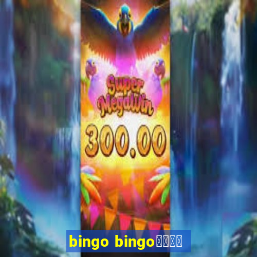 bingo bingo線上投注