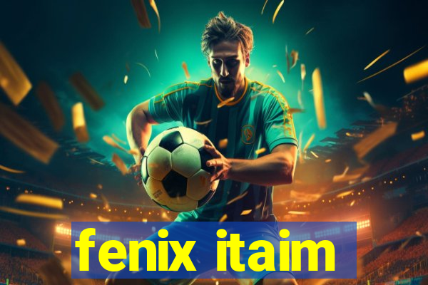 fenix itaim