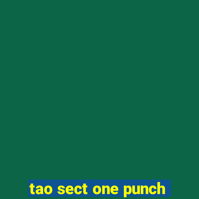 tao sect one punch