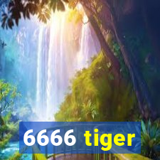 6666 tiger