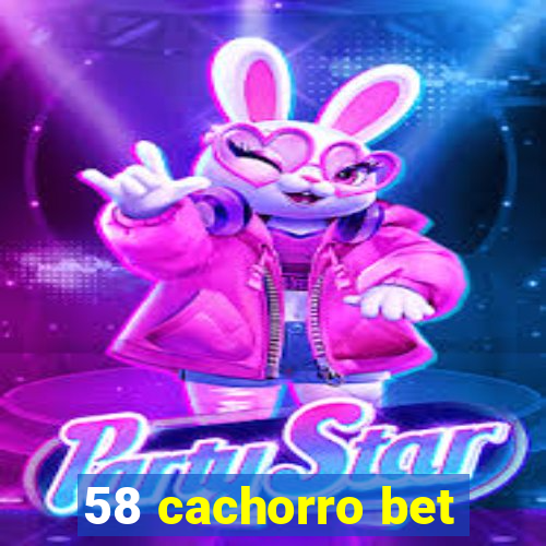 58 cachorro bet