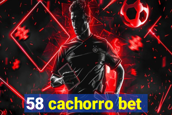 58 cachorro bet