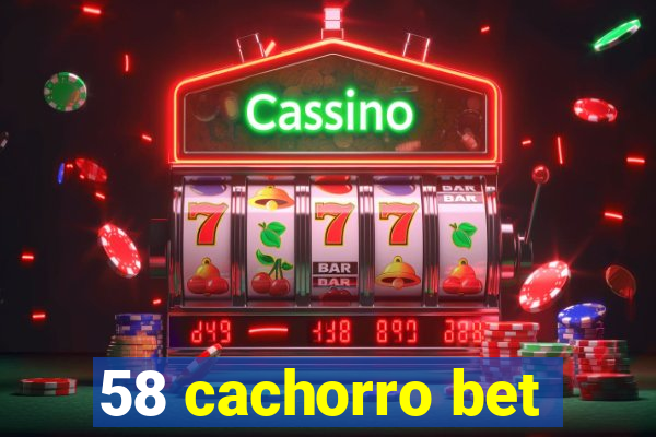 58 cachorro bet