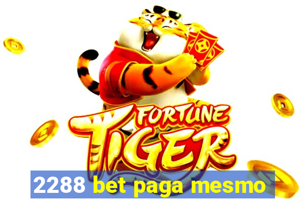 2288 bet paga mesmo