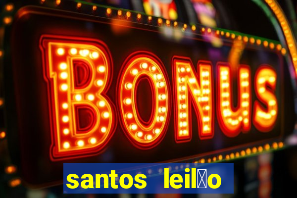 santos leil茫o passo fundo