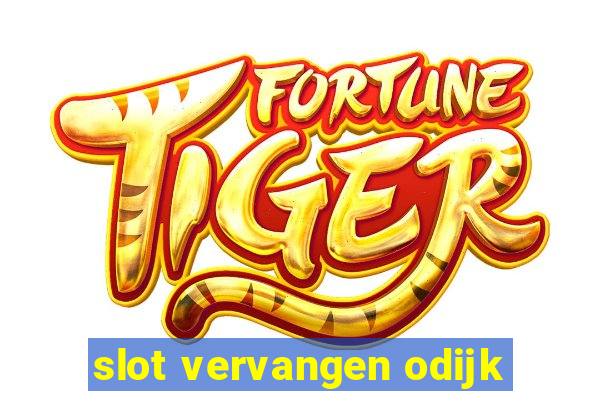 slot vervangen odijk