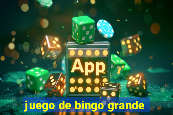 juego de bingo grande