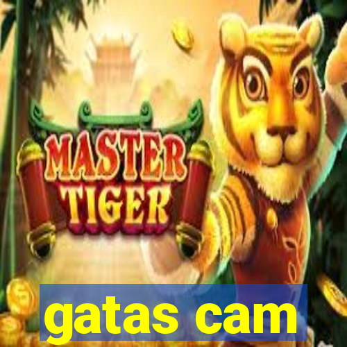 gatas cam