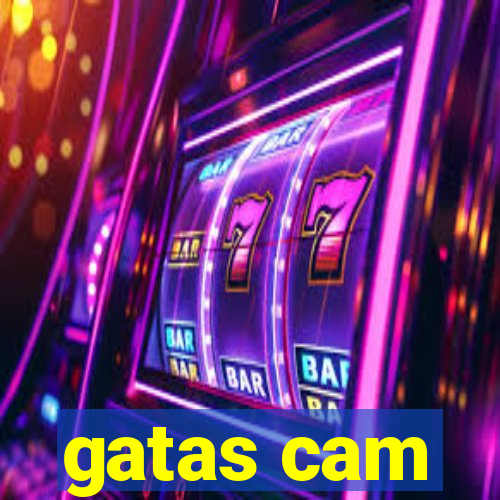 gatas cam