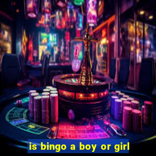 is bingo a boy or girl