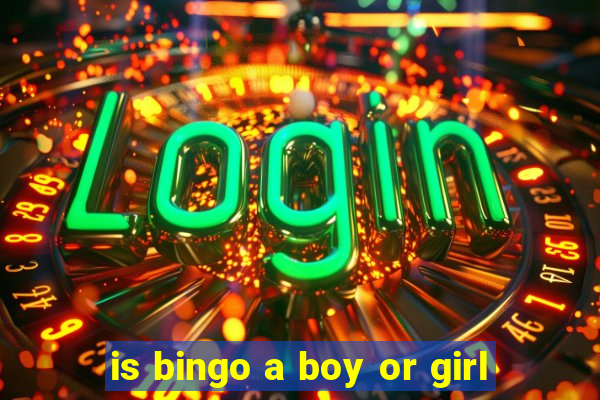 is bingo a boy or girl