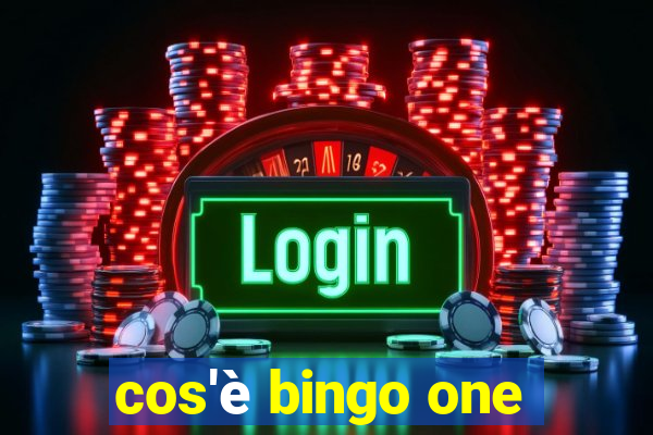 cos'è bingo one