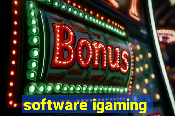 software igaming